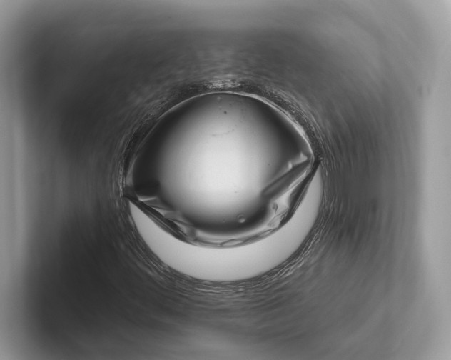X0000101421444200807211119
