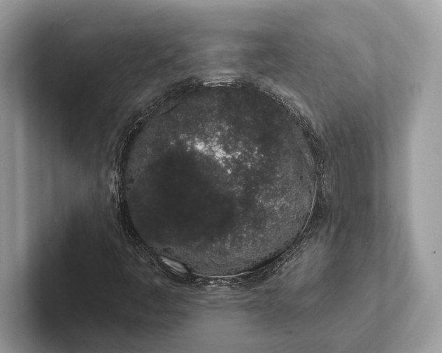 X0000101421445200807211119