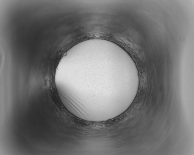 X0000101421446200807211119