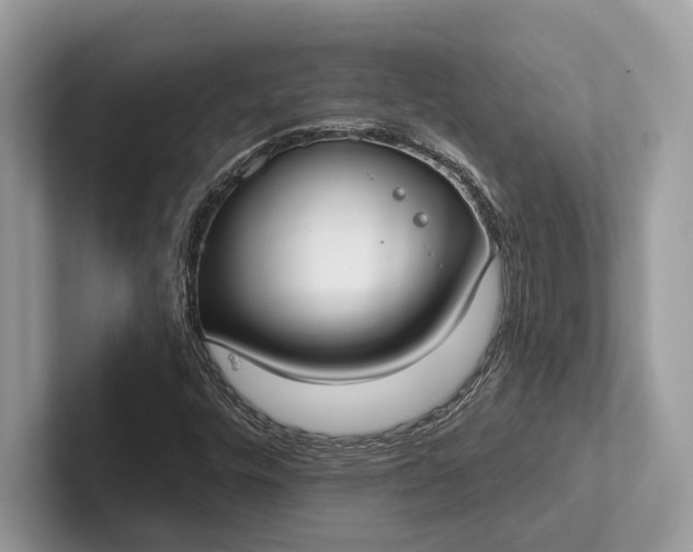 X0000101421448200807211118