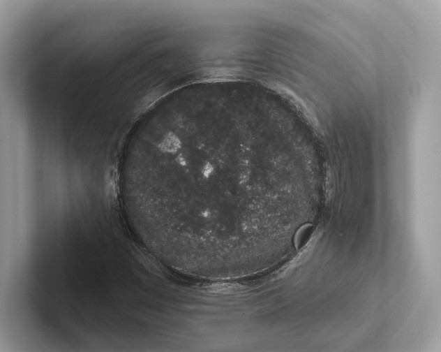 X0000101421449200807211118