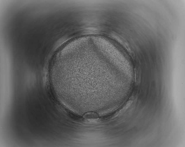 X0000101421453200807211118