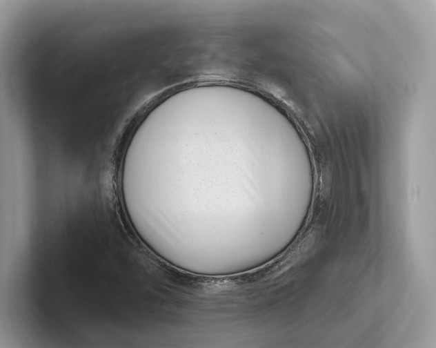 X0000101421454200807211118