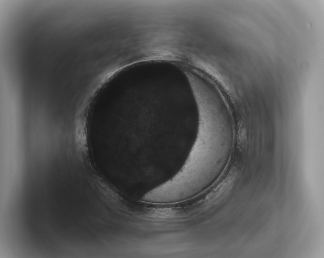 X0000101421455200807211118