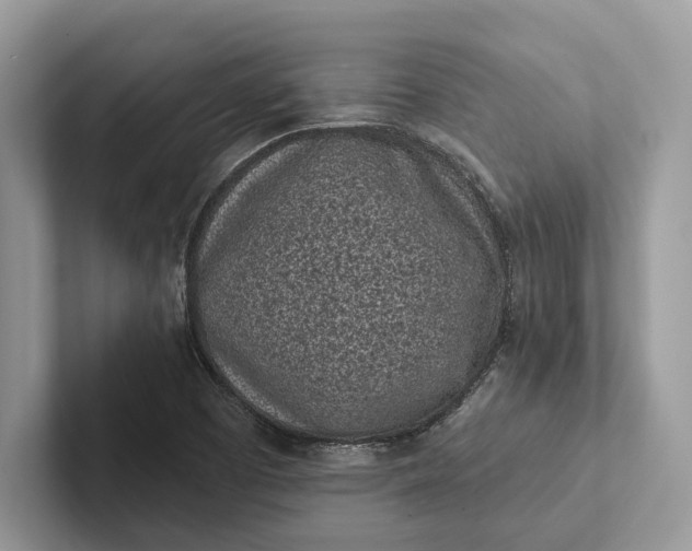 X0000101421457200807211118