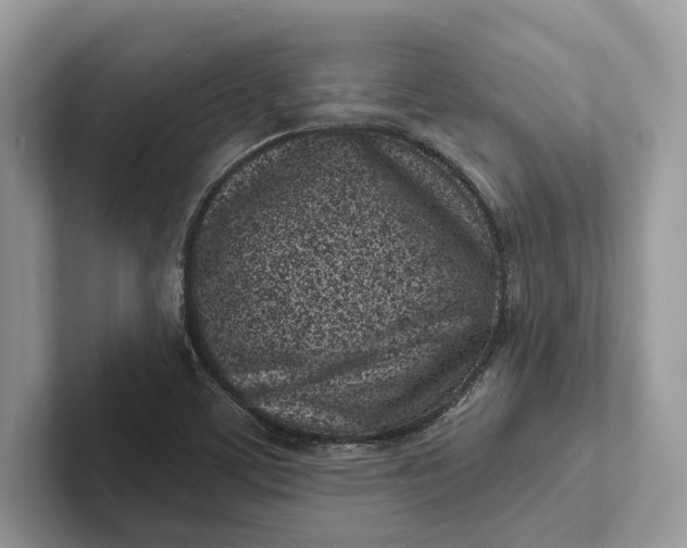 X0000101421459200807211118