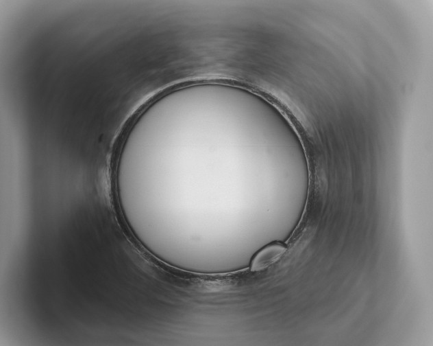 X0000101421460200807211118