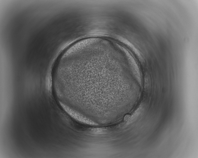 X0000101421461200807211118