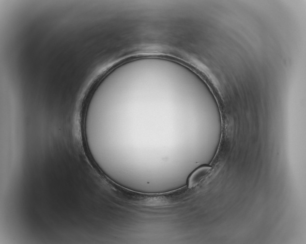 X0000101421464200807211118