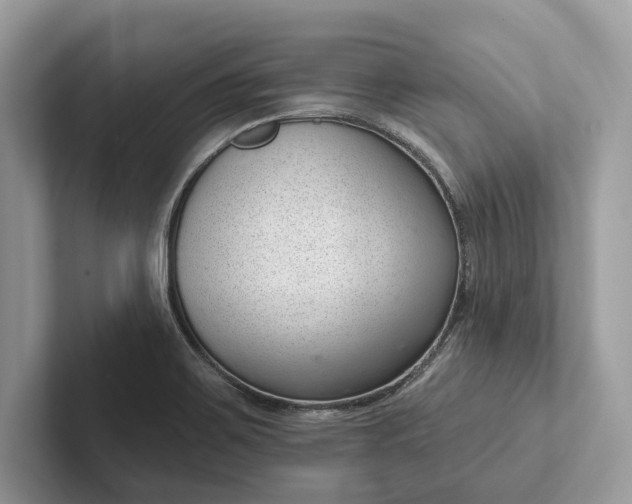 X0000101421467200807211118