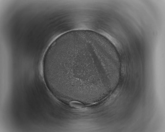 X0000101421468200807211118