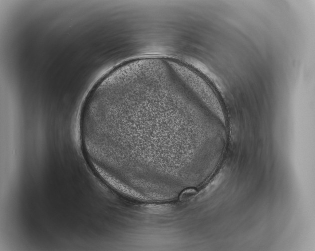 X0000101421469200807211118