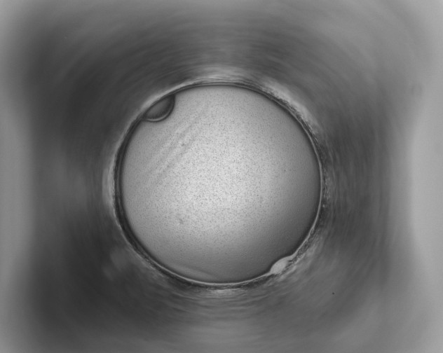 X0000101421471200807211118