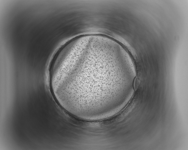 X0000101421472200807211118