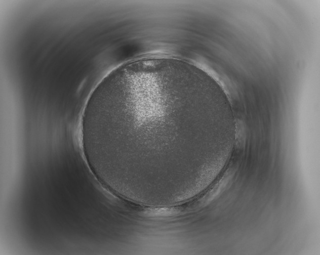 X0000101421474200807211118