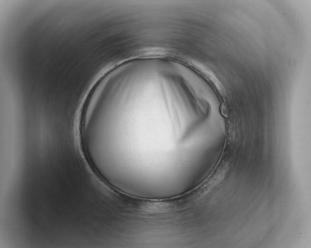 X0000101421475200807211118