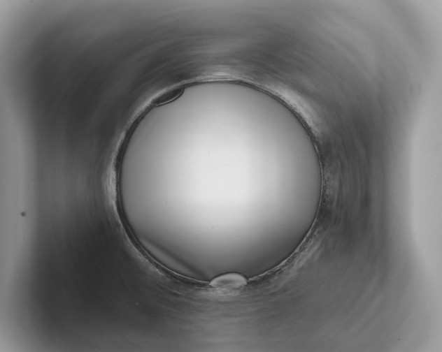 X0000101421476200807211118