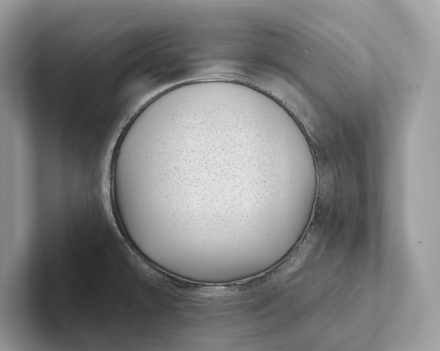 X0000101421478200807211118