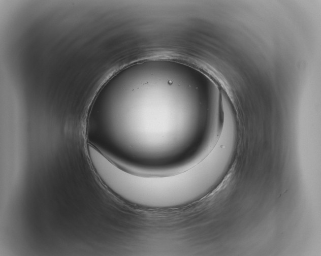 X0000101421481200807211118