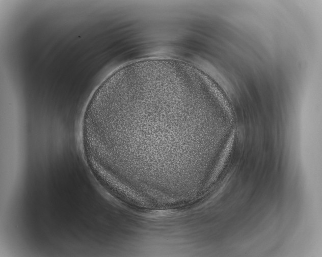 X0000101421482200807211118