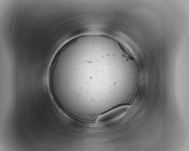 X0000101421484200807211118