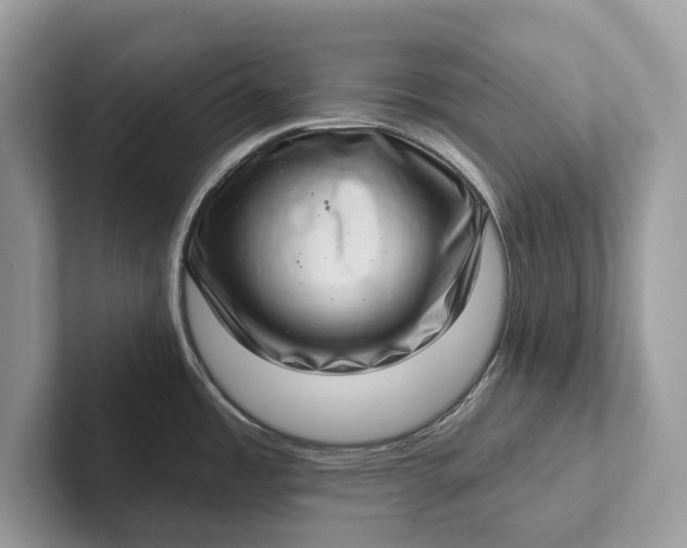 X0000101421485200807211118
