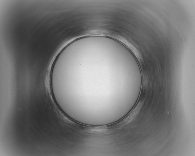X0000101421486200807211118