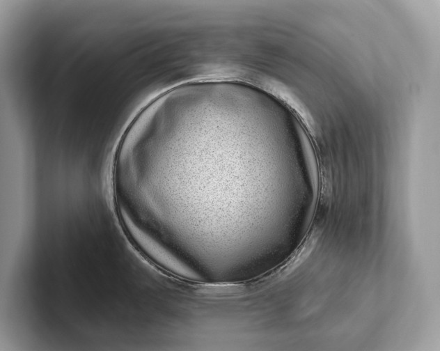 X0000101421487200807211118