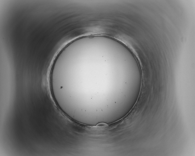 X0000101421488200807211118