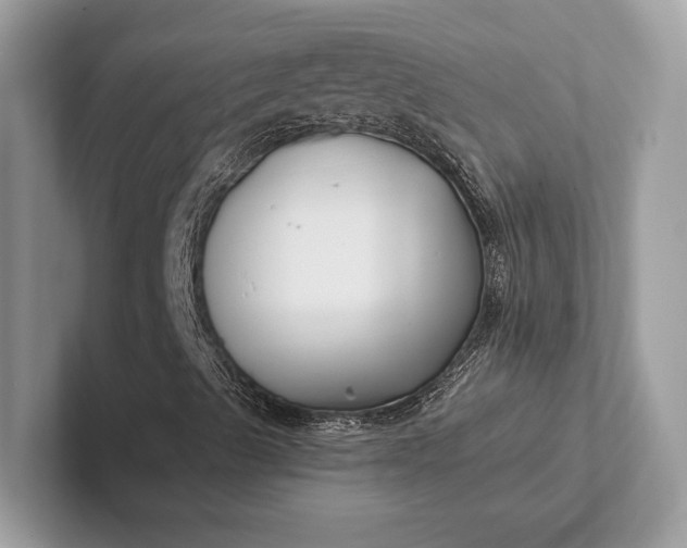 X0000101421489200807211117