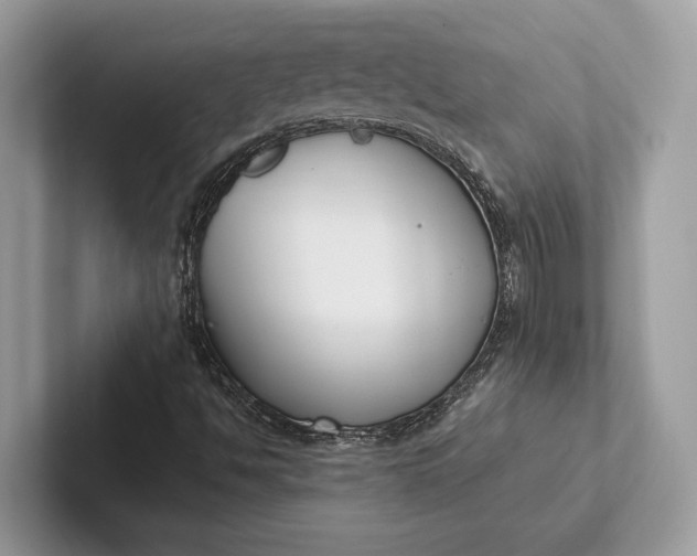X0000101421494200807211117
