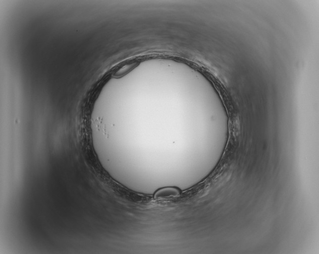 X0000101421496200807211117