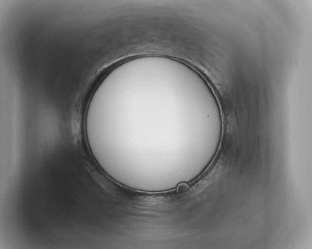 X0000101421499200807211117