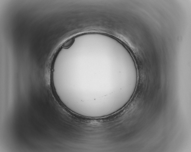 X0000101421504200807211117