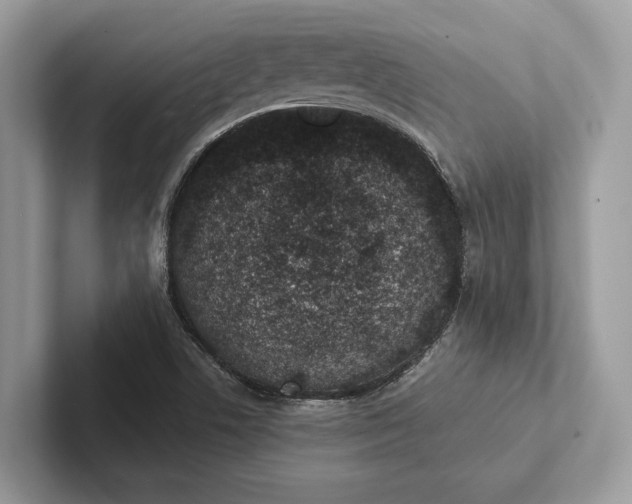 X0000101421506200807211117