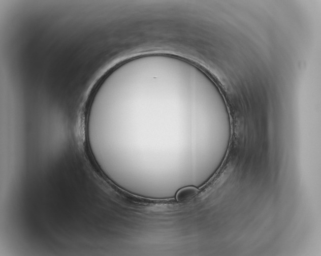 X0000101421510200807211118