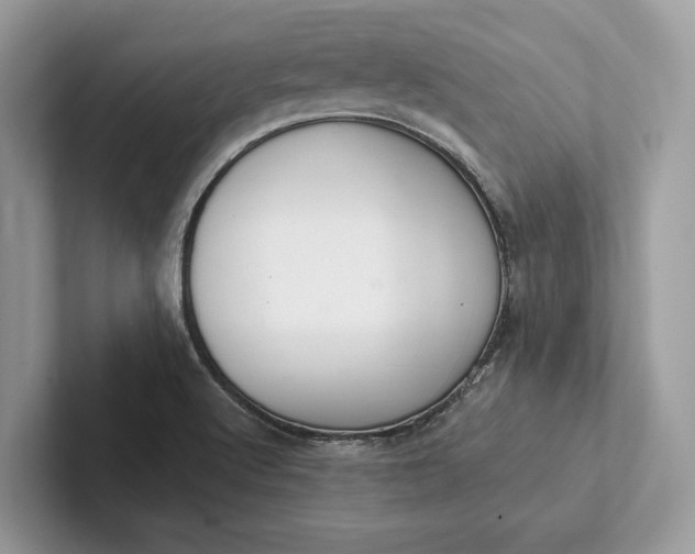 X0000101421512200807211118
