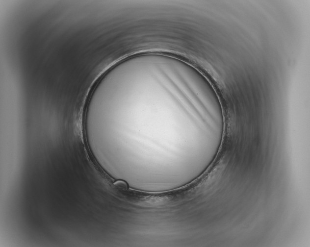 X0000101421513200807211118