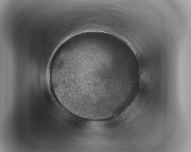 X0000101421514200807211118