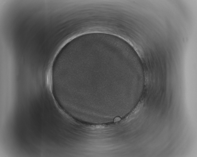 X0000101421515200807211118