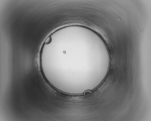 X0000101421516200807211118