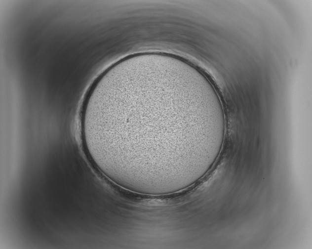 X0000101421517200807211118