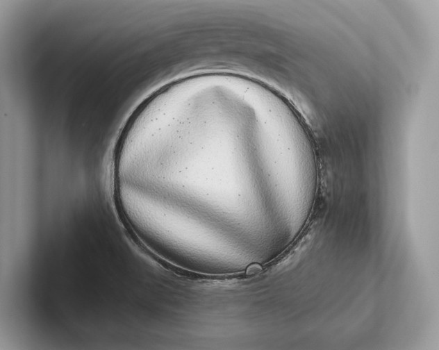 X0000101421519200807211118