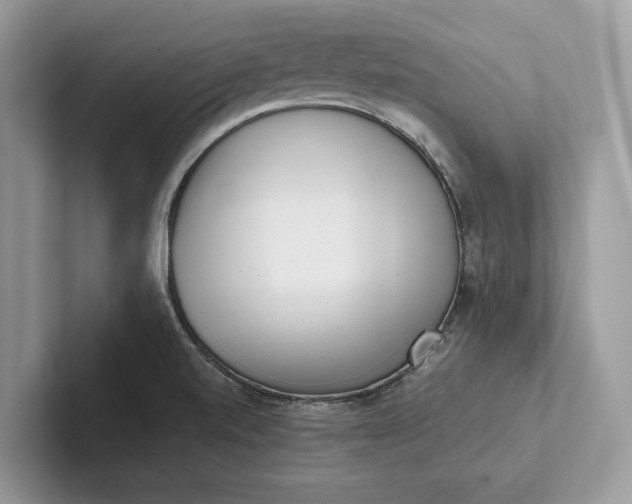 X0000101421520200807211118