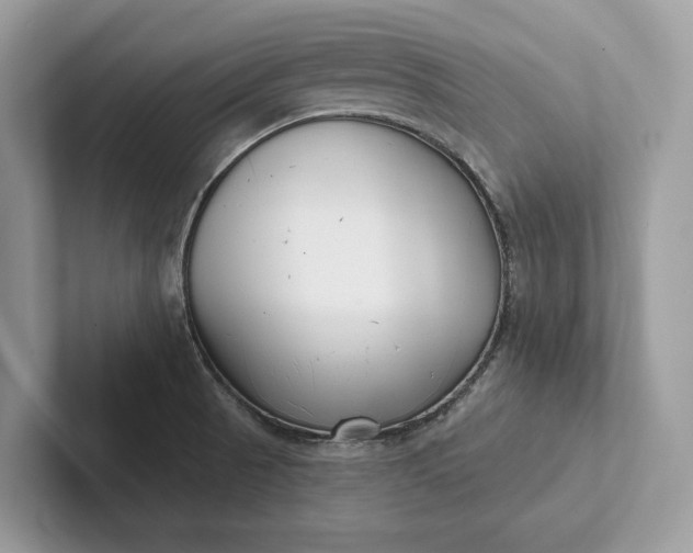 X0000101421521200807211118