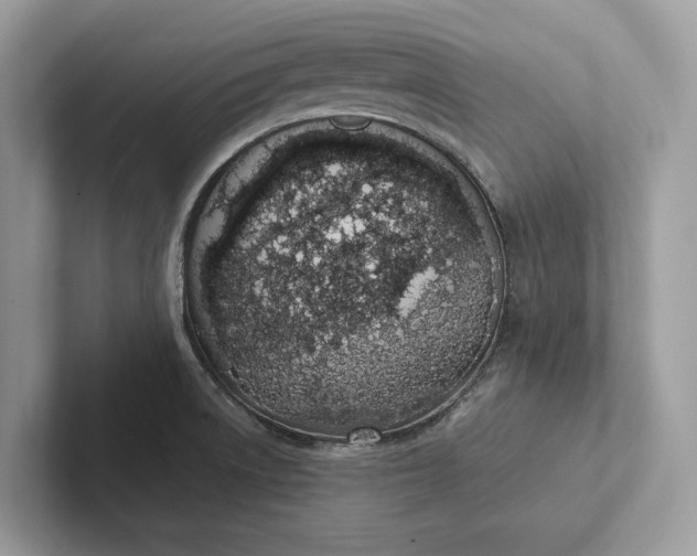 X0000101421522200807211118