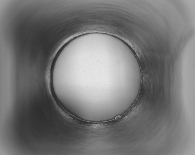 X0000101421523200807211118