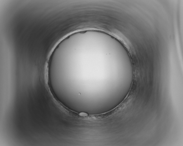 X0000101421524200807211118