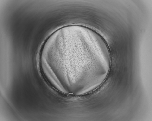 X0000101421525200807211118