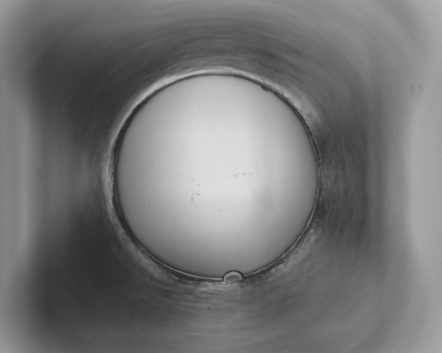 X0000101421526200807211118